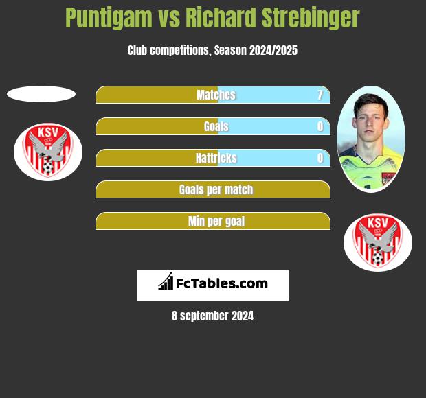 Puntigam vs Richard Strebinger h2h player stats