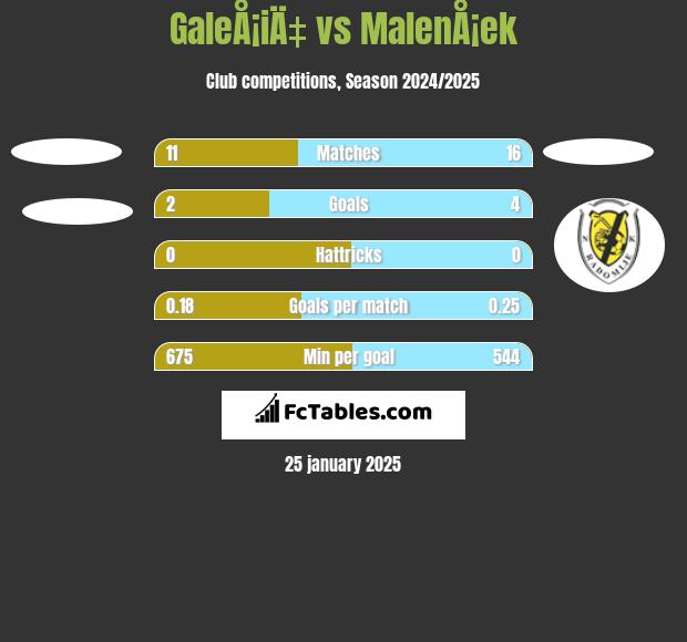 GaleÅ¡iÄ‡ vs MalenÅ¡ek h2h player stats