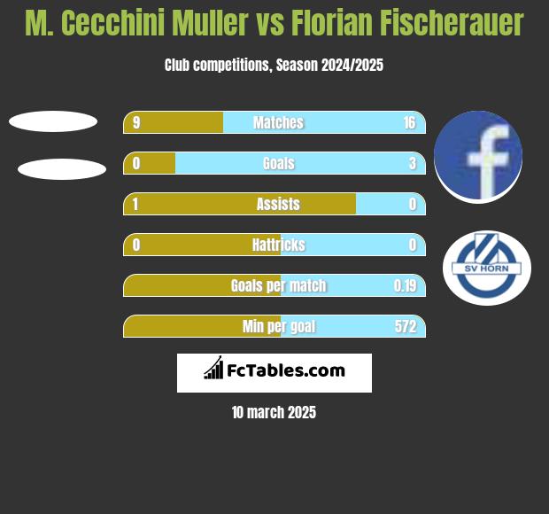 M. Cecchini Muller vs Florian Fischerauer h2h player stats