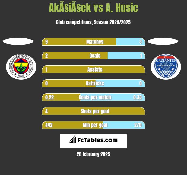 AkÃ§iÃ§ek vs A. Husic h2h player stats