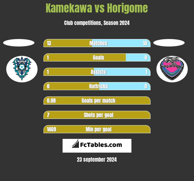 Kamekawa vs Horigome h2h player stats