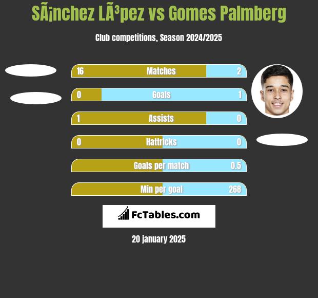 SÃ¡nchez LÃ³pez vs Gomes Palmberg h2h player stats