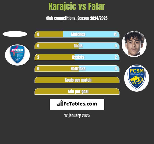 Karajcic vs Fatar h2h player stats