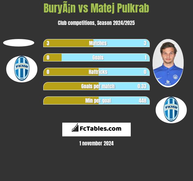 BuryÃ¡n vs Matej Pulkrab h2h player stats