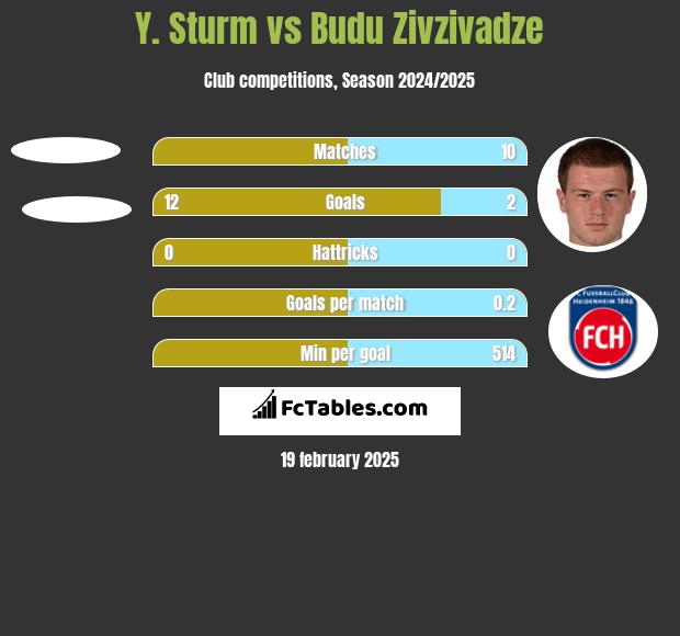 Y. Sturm vs Budu Zivzivadze h2h player stats