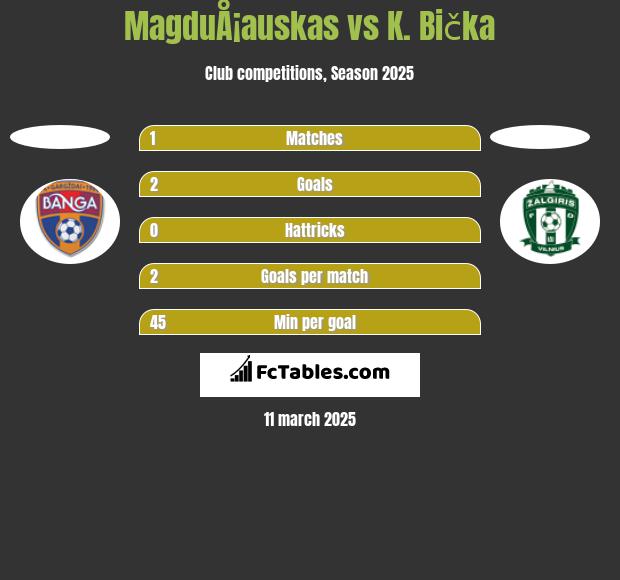 MagduÅ¡auskas vs K. Bička h2h player stats