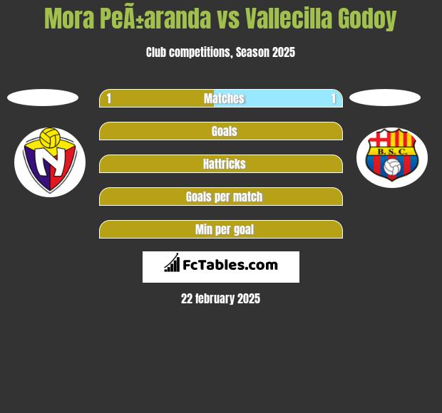 Mora PeÃ±aranda vs Vallecilla Godoy h2h player stats