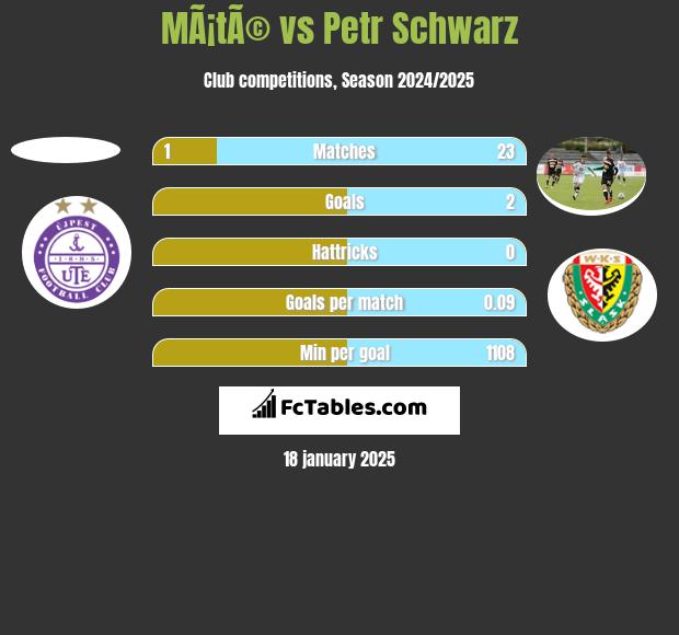 MÃ¡tÃ© vs Petr Schwarz h2h player stats