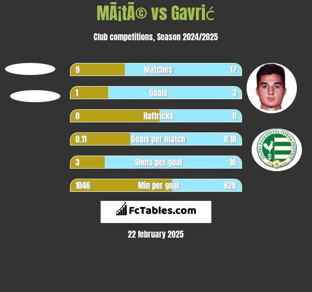 MÃ¡tÃ© vs Gavrić h2h player stats