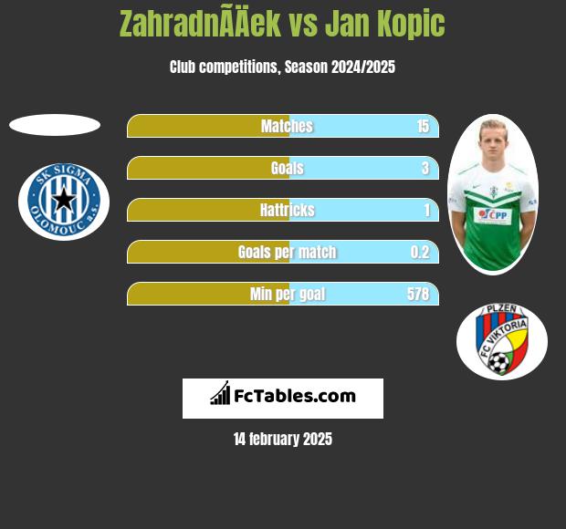 ZahradnÃ­Äek vs Jan Kopic h2h player stats