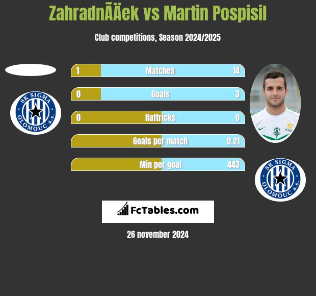 ZahradnÃ­Äek vs Martin Pospisil h2h player stats