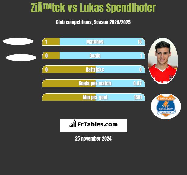 ZiÄ™tek vs Lukas Spendlhofer h2h player stats