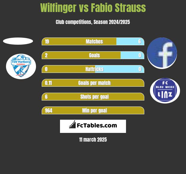 Wilfinger vs Fabio Strauss h2h player stats