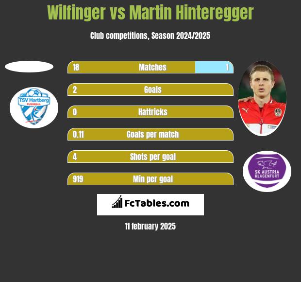 Wilfinger vs Martin Hinteregger h2h player stats