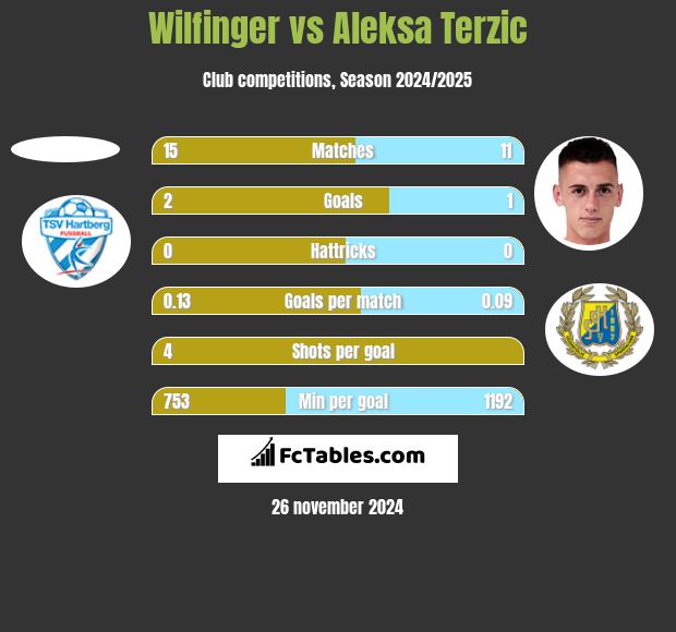 Wilfinger vs Aleksa Terzic h2h player stats