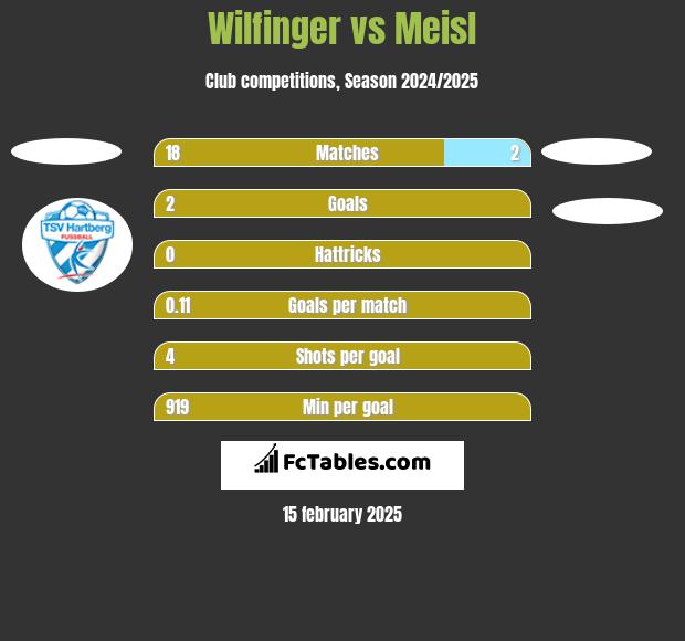 Wilfinger vs Meisl h2h player stats