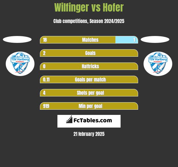 Wilfinger vs Hofer h2h player stats