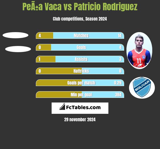 PeÃ±a Vaca vs Patricio Rodriguez h2h player stats