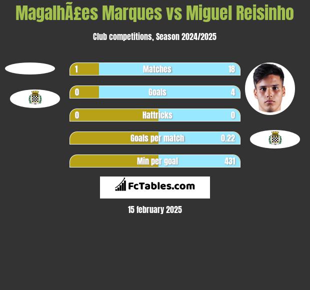 MagalhÃ£es Marques vs Miguel Reisinho h2h player stats