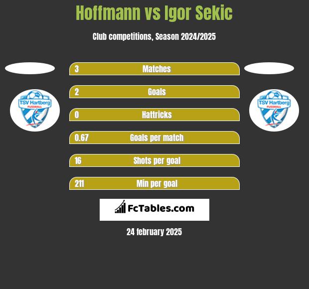 Hoffmann vs Igor Sekic h2h player stats