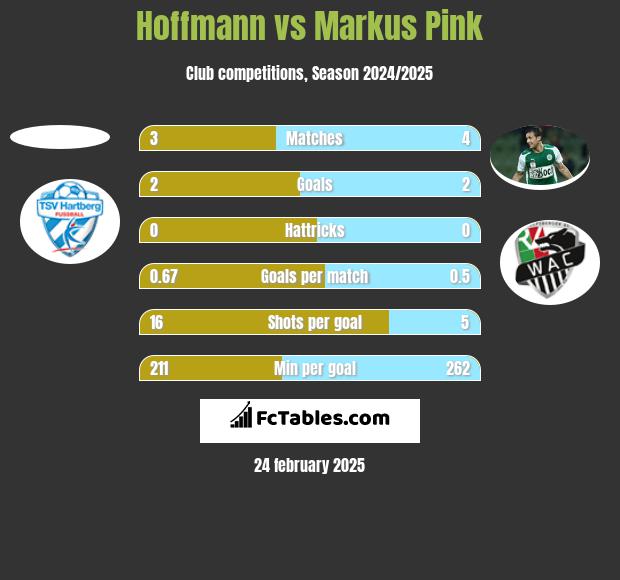 Hoffmann vs Markus Pink h2h player stats