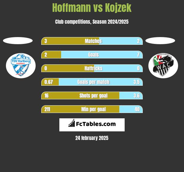 Hoffmann vs Kojzek h2h player stats