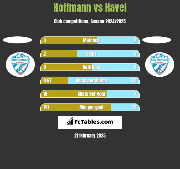 Hoffmann vs Havel h2h player stats