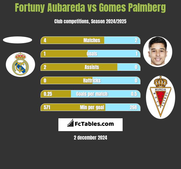 Fortuny Aubareda vs Gomes Palmberg h2h player stats