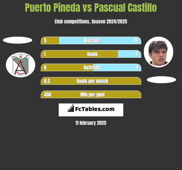 Puerto Pineda vs Pascual Castillo h2h player stats