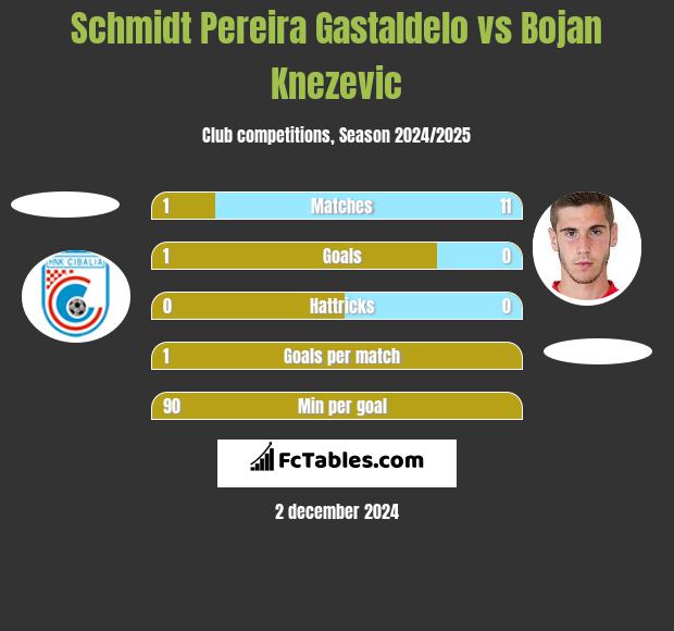 Schmidt Pereira Gastaldelo vs Bojan Knezevic h2h player stats