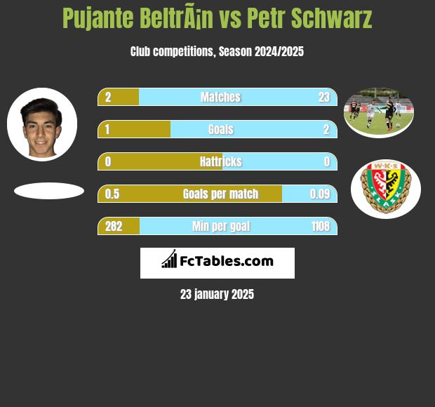 Pujante BeltrÃ¡n vs Petr Schwarz h2h player stats