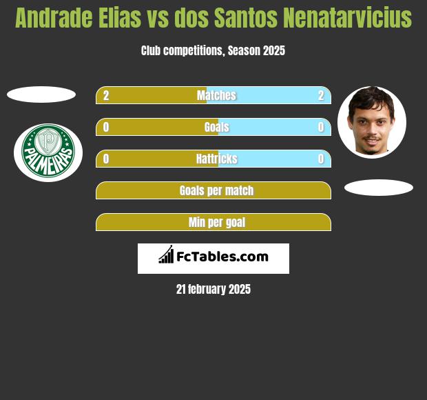 Andrade Elias vs dos Santos Nenatarvicius h2h player stats